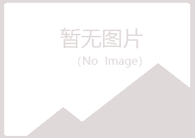 晋宁县字迹咨询有限公司